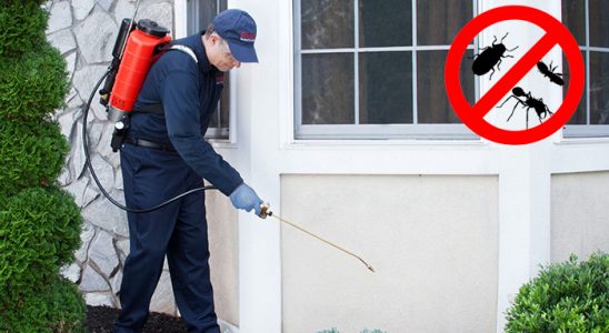 Mutki Bit İlaçlama böcek ilaçlama ve haşere kontrolü — ilaclama-tr.com